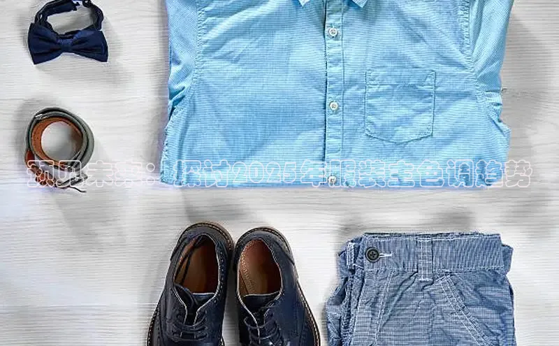 EMC体育官网入口